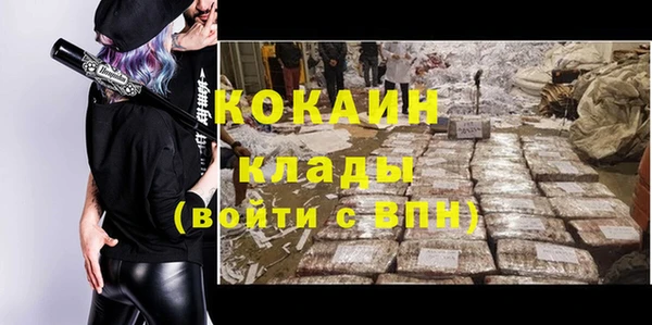 сатива Богданович
