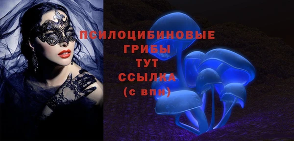 mix Богородск