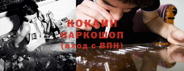 сатива Богданович